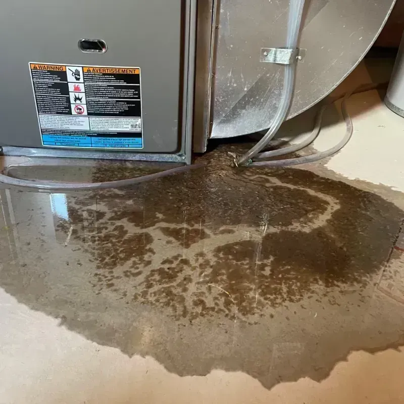 Appliance Leak Cleanup in Cleburne, TX